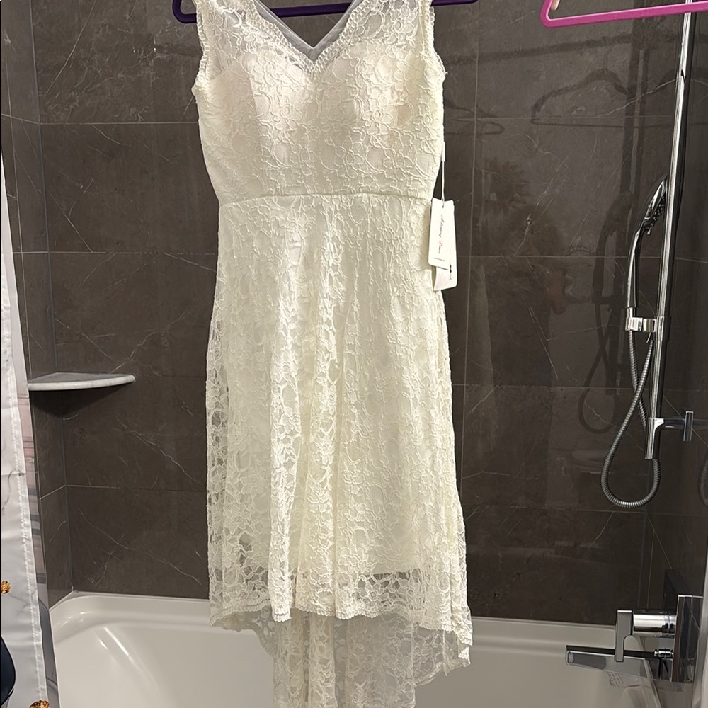 Elegant Lace Sleeveless Dress in Cream